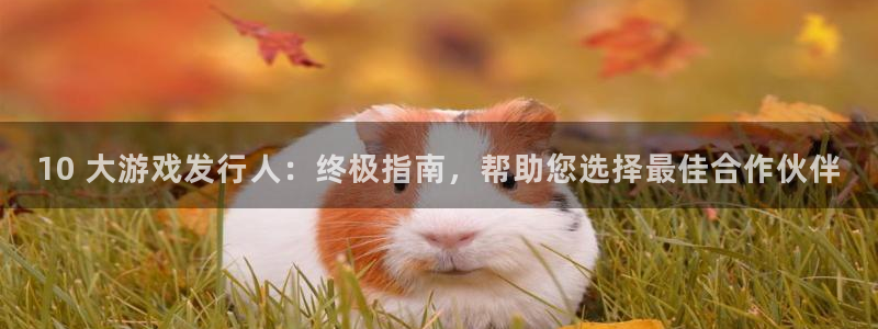 蓝狮在线注册平台登录入口：10 大游戏发行人：终极指南，帮助您选择最佳合作伙伴