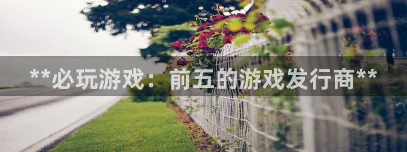 蓝狮子音乐：**必玩游戏：前五的游戏发行商**