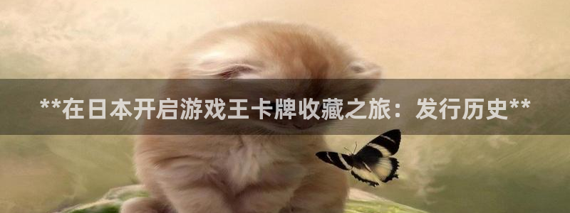 蓝狮集团品牌策划机构：**在日本开启游戏王卡牌收藏之旅：发行历史**