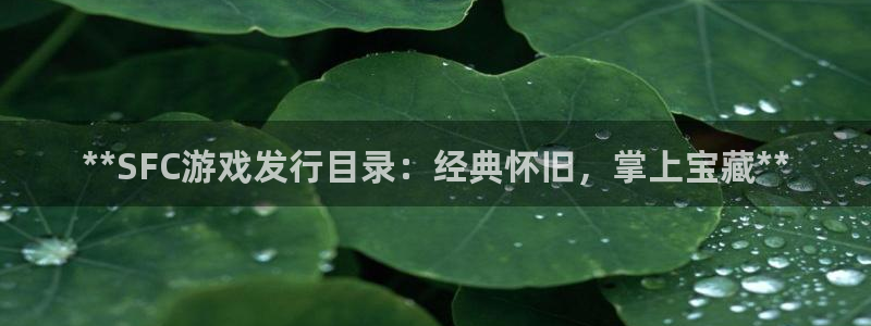 蓝狮lvnces官网：**SFC游戏发行目录：经典怀旧，掌上宝藏**