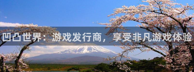 广东蓝狮电商bruno：凹凸世界：游戏发行商，享受非凡游戏体验