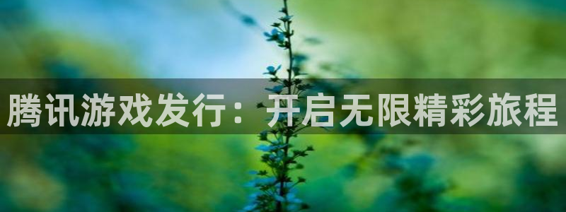 蓝狮服装品牌：腾讯游戏发行：开启无限精彩旅程