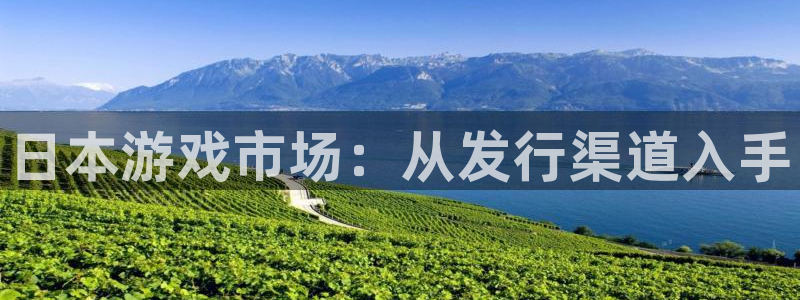 蓝狮电子商务有限公司怎么样知乎