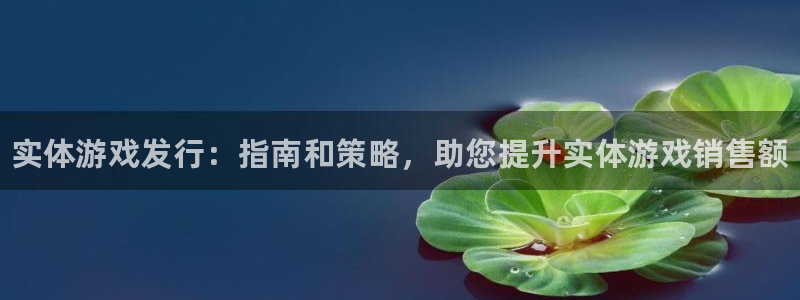 重庆蓝狮子文化传播有限公司：实体游戏发行：指南和策略，助您提升实体游戏销售额