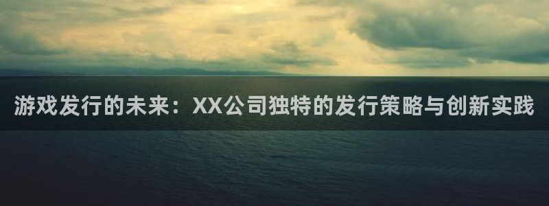 蓝狮电子商务有限公司怎么样知乎：游戏发行的未来：XX公司独特的发行策略与创新实践
