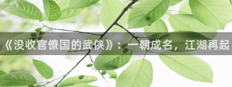 蓝狮子文化创意有限公司：《没收官僚国的武侠》：一朝成名，江湖再起