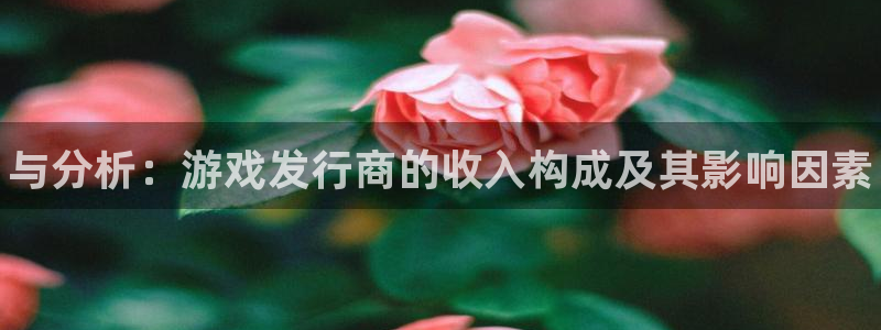 蓝狮服装品牌：与分析：游戏发行商的收入构成及其影响因素