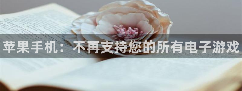 蓝狮电子商务有限公司地址：苹果手机：不再支持您的所有电子游戏