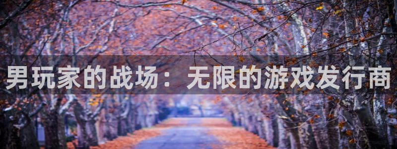 蓝狮品牌logo：男玩家的战场：无限的游戏发行商