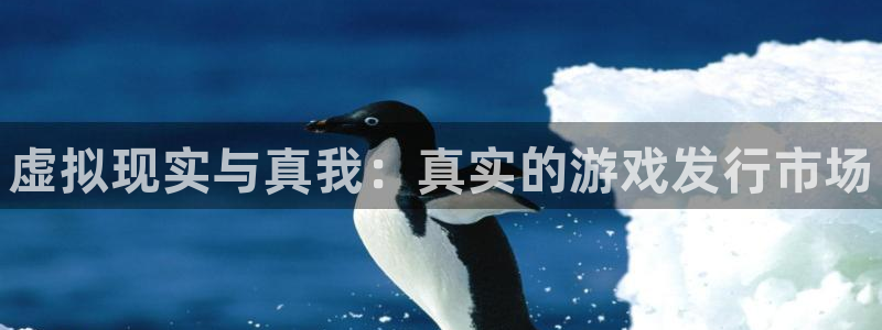 蓝狮智邦(北京)品牌策划有限公司：虚拟现实与真我：真实的游戏发行市场